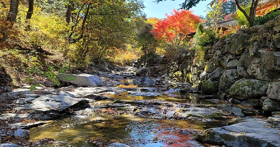 두메산골 펜션 전경 사진