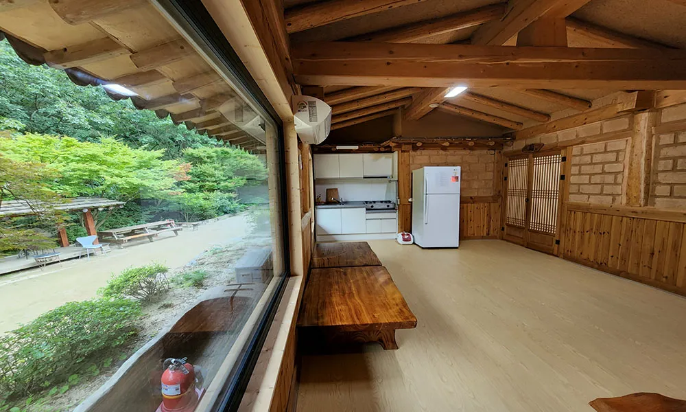 국죽 사진 6